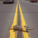 Illustration for article titled Thirty Vehicular Youre Doing It Wrong Moments: Version 2.0